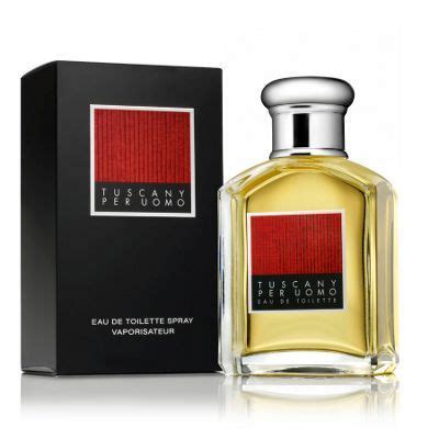 debenhams mens perfume